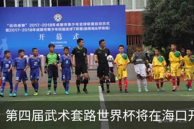 第四届武术套路世界杯将在海口开赛 30多个国家和地区人员参赛